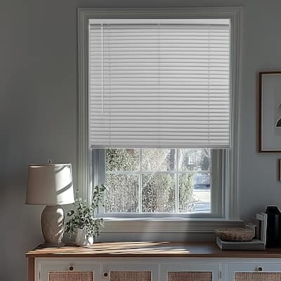 CHICOLOGY Cordless 1-Inch Vinyl Mini Blinds, Blackout