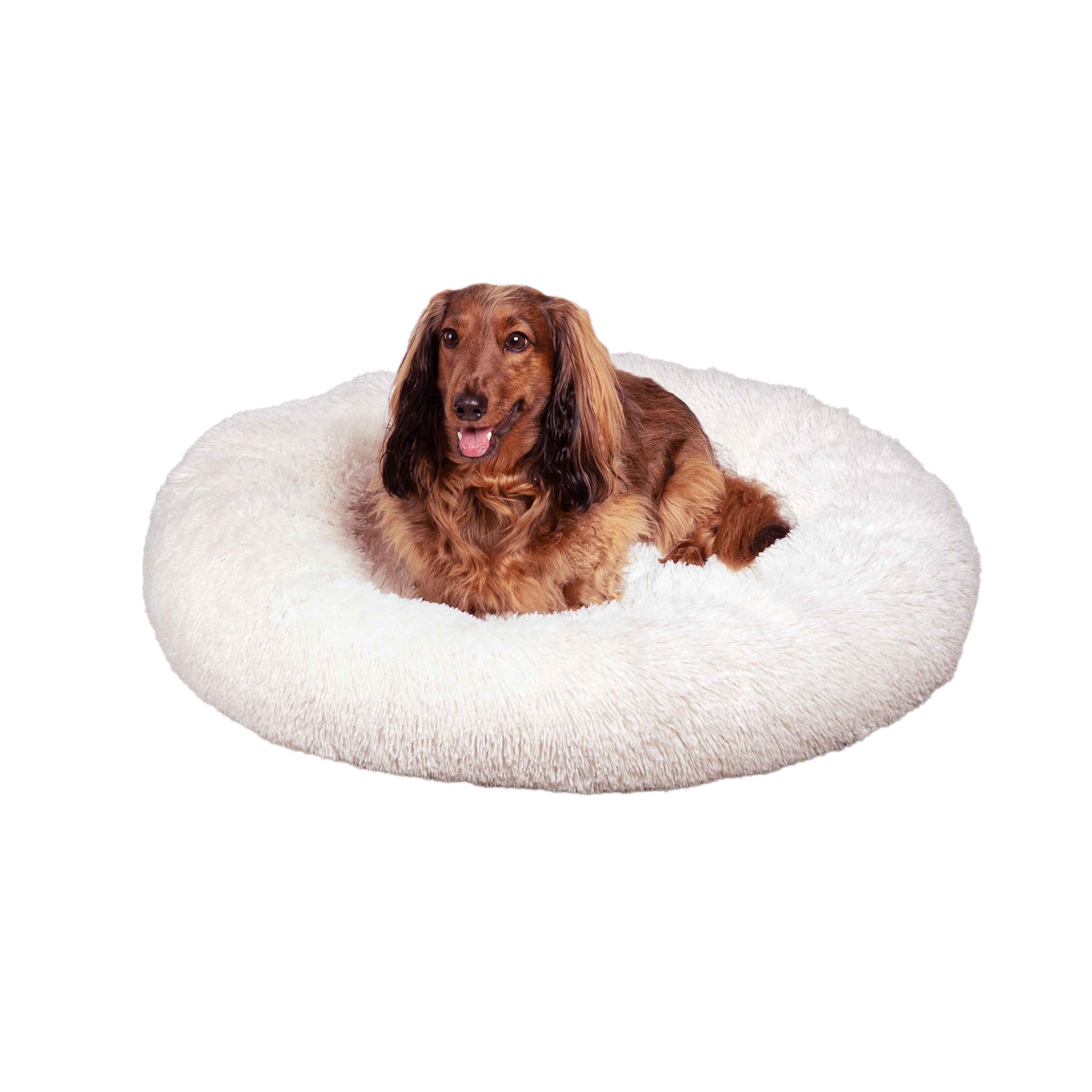 Extra Small Pet Beds Bed Bath Beyond