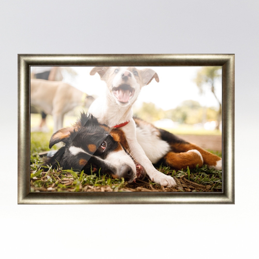 https://ak1.ostkcdn.com/images/products/is/images/direct/8fe2f60c2fbf27209b45d6e29361d5de414b6986/28x40-Pewter-Picture-Frame---Wood-Picture-Frame-Complete-with-UV.jpg