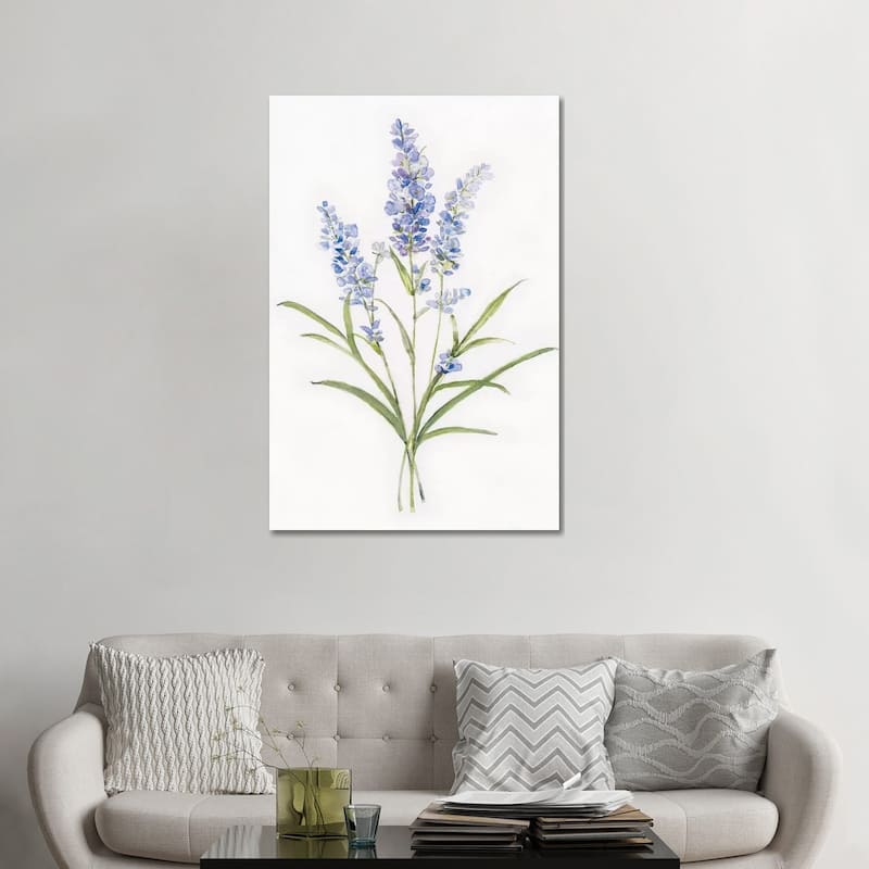 iCanvas "Dainty Botanical Lavender" by Sally Swatland Canvas Print - 48x32x1.5