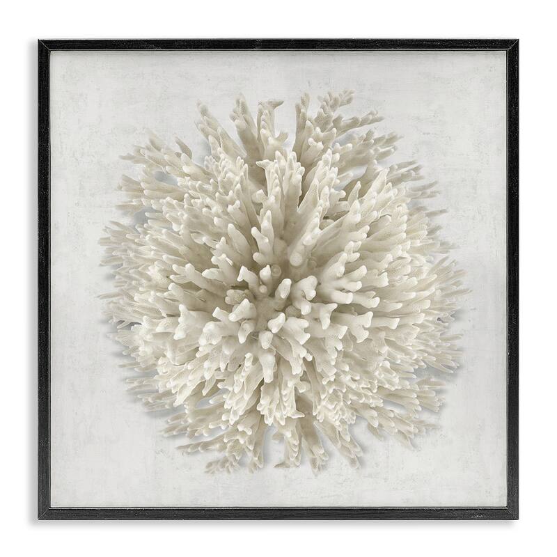 Stupell Natural Round Coral Framed Giclee Art Design By Caroline Kelly - 17 x 17 - Black