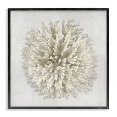 Stupell Natural Round Coral Framed Giclee Art Design By Caroline Kelly