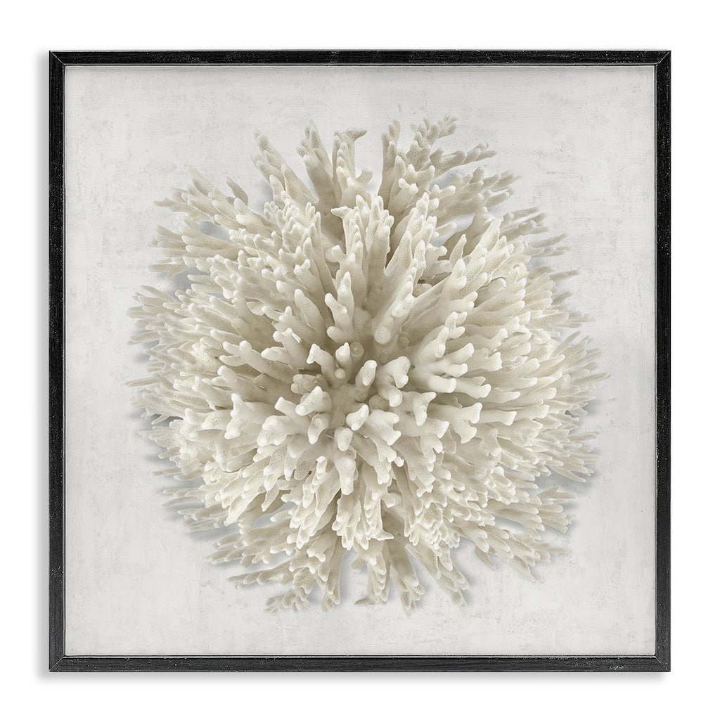 Stupell Natural Round Coral Framed Giclee Art Design By Caroline Kelly