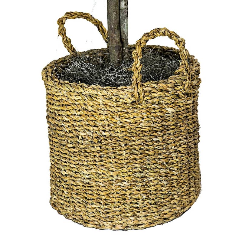 6-foot Artificial Ficus Tree in Basket
