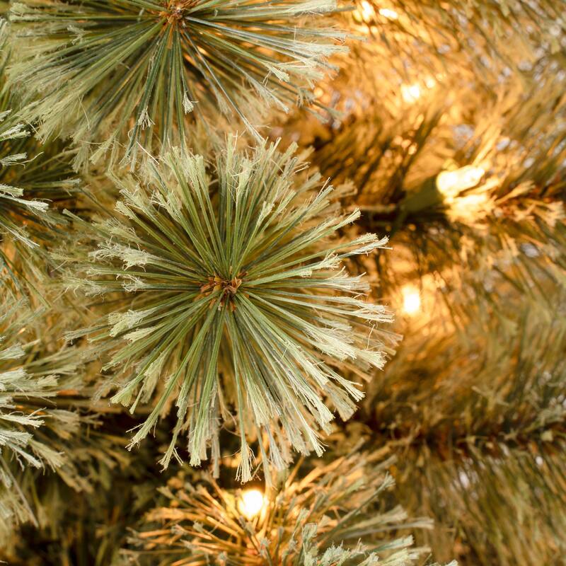 National Tree Company 6 ft. Arcadia Pine Tree with Clear Lights - 6 Foot
