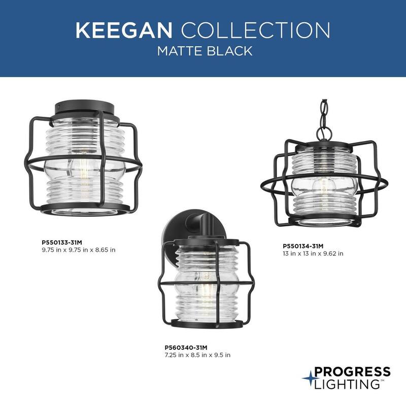 Keegan Collection One-Light Matte Black Clear Glass Coastal Outdoor Flush Mount Light - 9.75 in x 9.75 in x 8.65 in