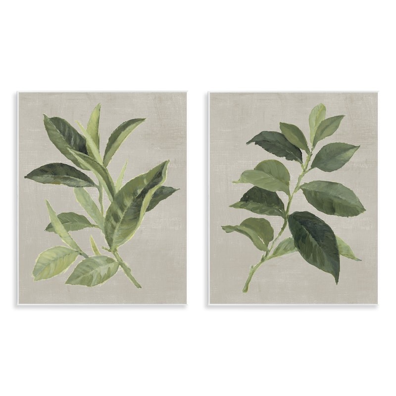 Stupell Green Tea & Coffee Plant Leaves Wall Plaque Art Design By Lanie Loreth (Set of 2) - 11 x 14