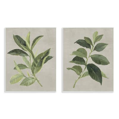 Stupell Green Tea & Coffee Plant Leaves Wall Plaque Art Design By Lanie Loreth (Set of 2)