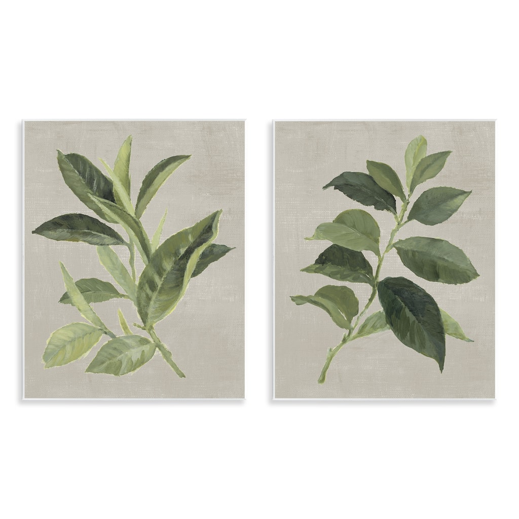 Stupell Green Tea & Coffee Plant Leaves Wall Plaque Art Design By Lanie Loreth (Set of 2)