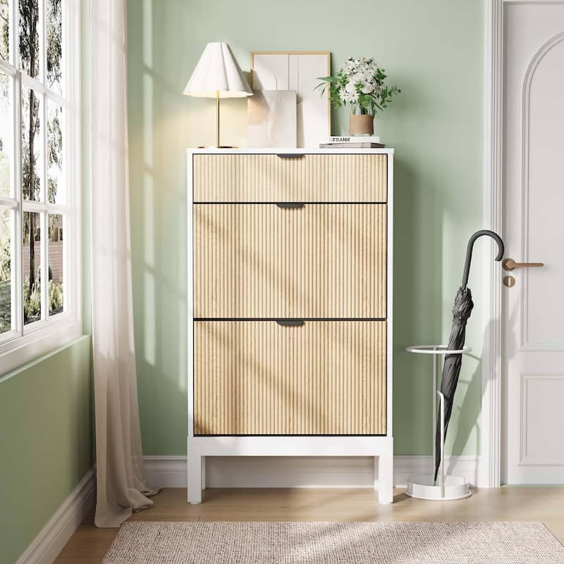 2-Drawer Slim Shoe Storage Cabinet with Flip Doors