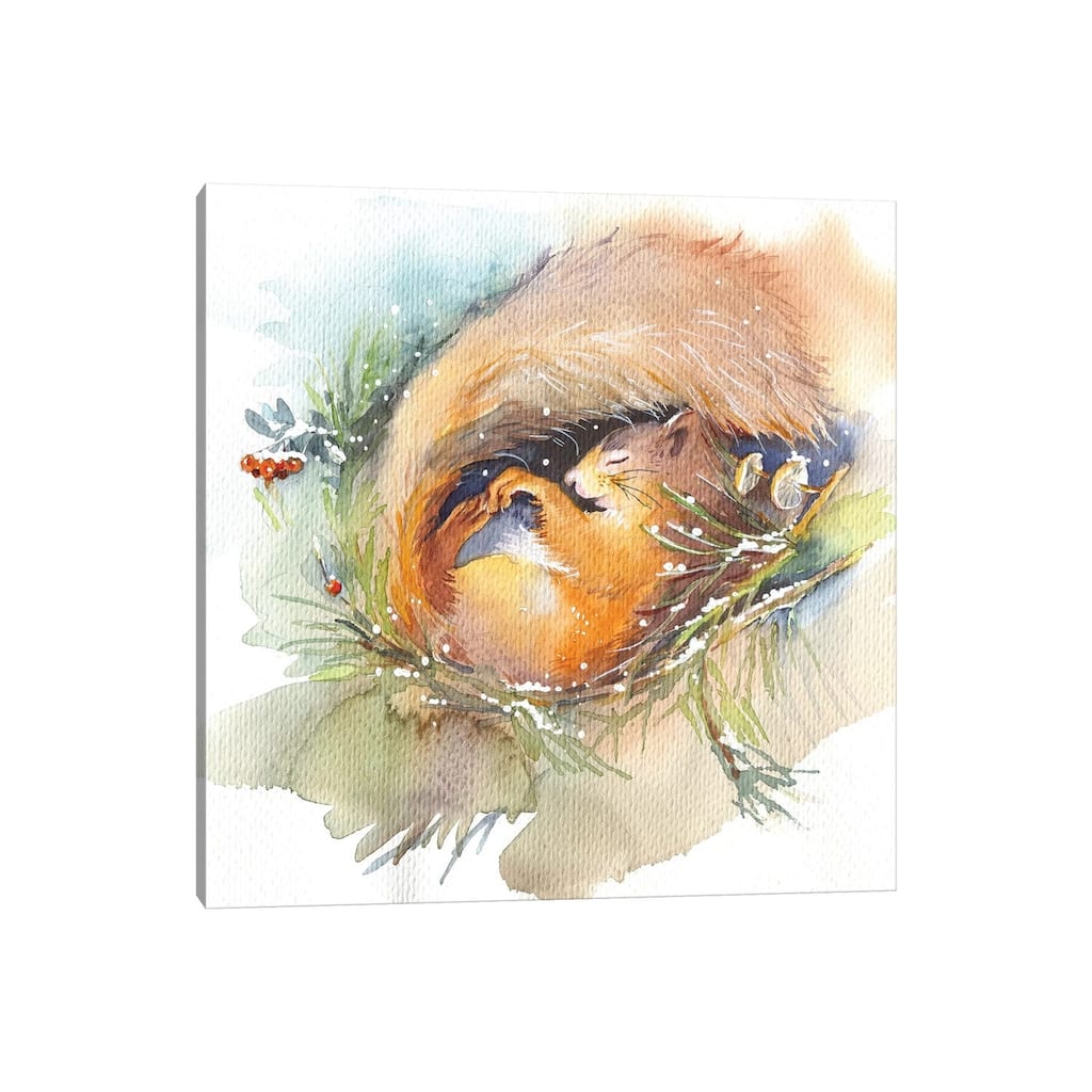 iCanvas "Sleeping Squirrel" by Marina Ignatova Canvas Print