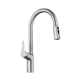 Single Handle Kitchen Faucet with Pull-Down Sprayer