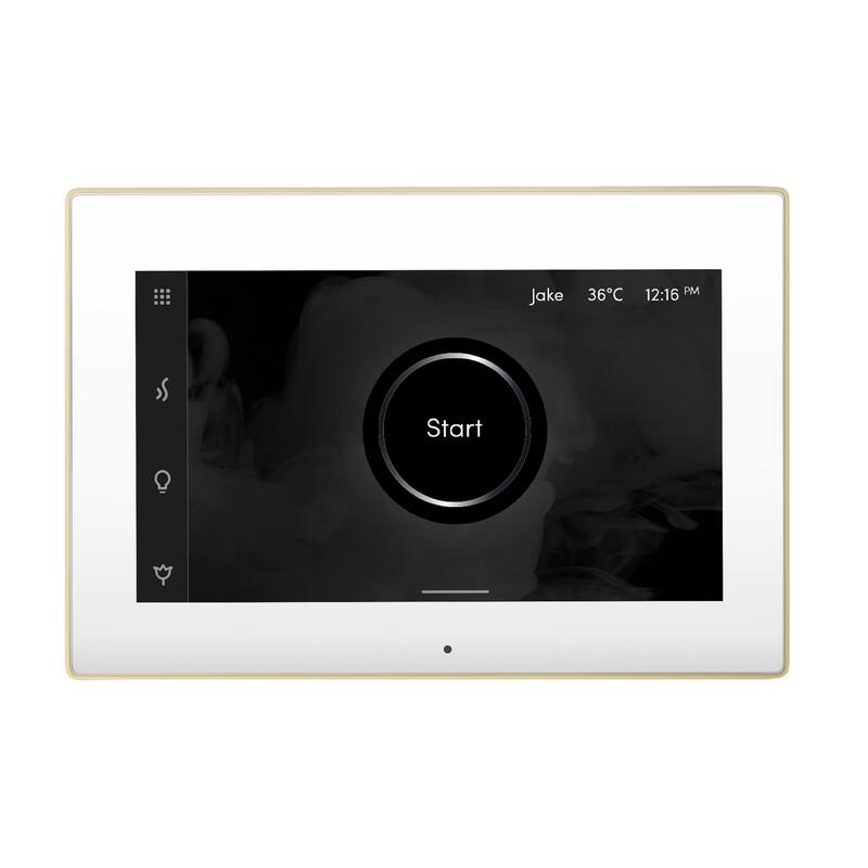 Mr Steam ISX Isteamx Steam Shower Control and Steamhead - White / Polished Brass