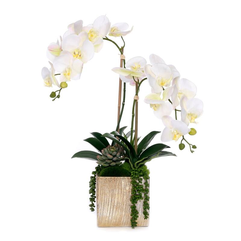 Real Touch Orchid Flower Arrangement in Cube Nickel Pot - White