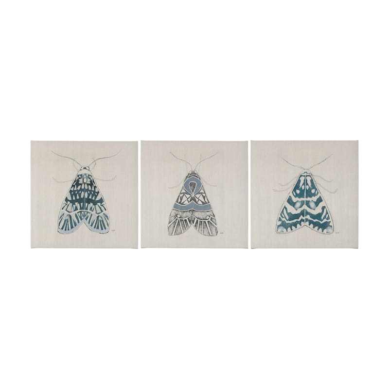 Moth Blue II (20 x 20 ) Canvas Art Print