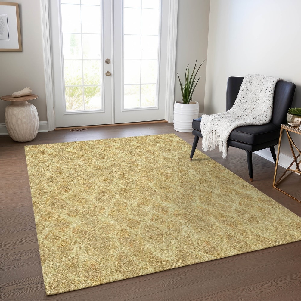 Machine Washable Indoor/ Outdoor Chantille Modern Boho Rug