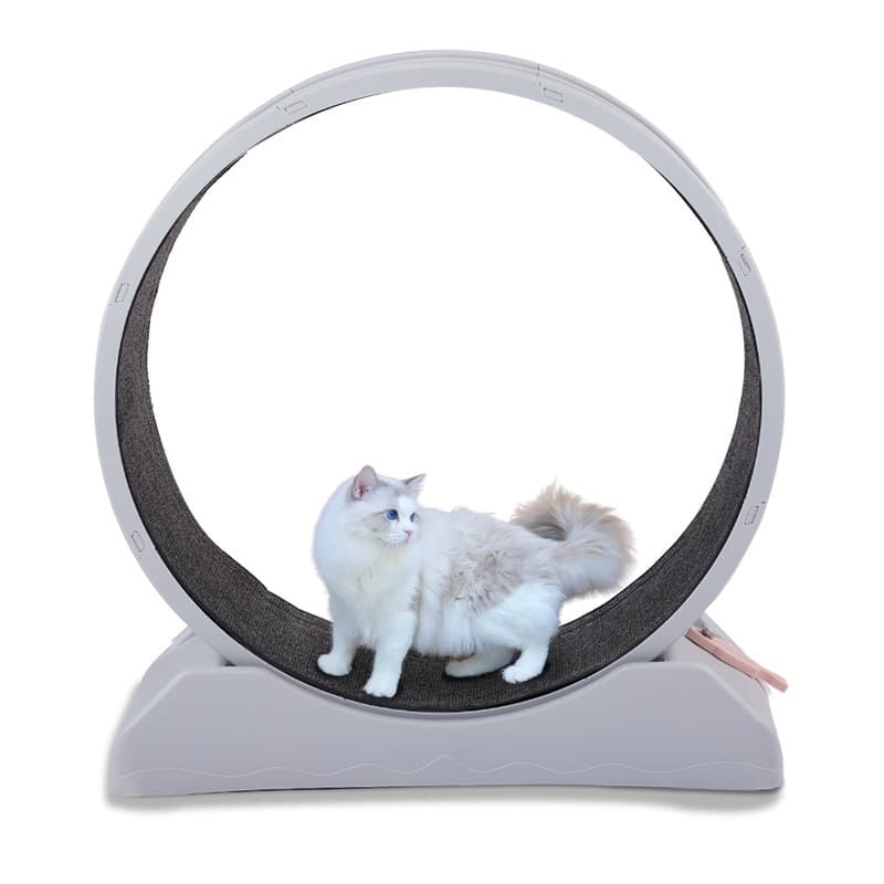 Gray PP Material Round Cat Treadmill With Carpet