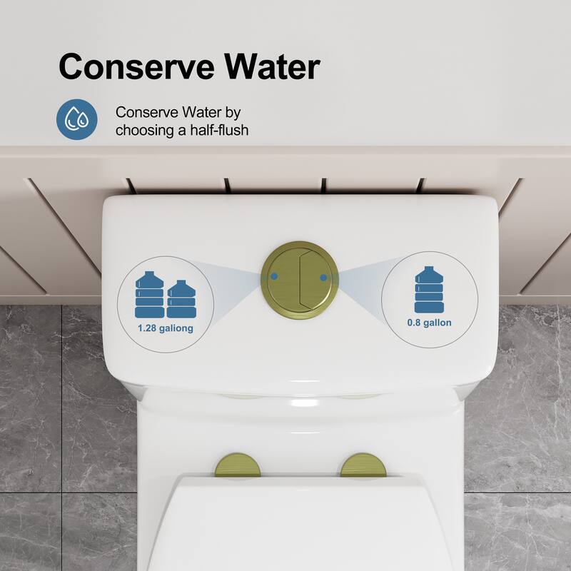 HOROW 1 Piece Dual Flush Elongated Toilet White 0.8 1.28 GPF Seat Included Brushed Gold Button