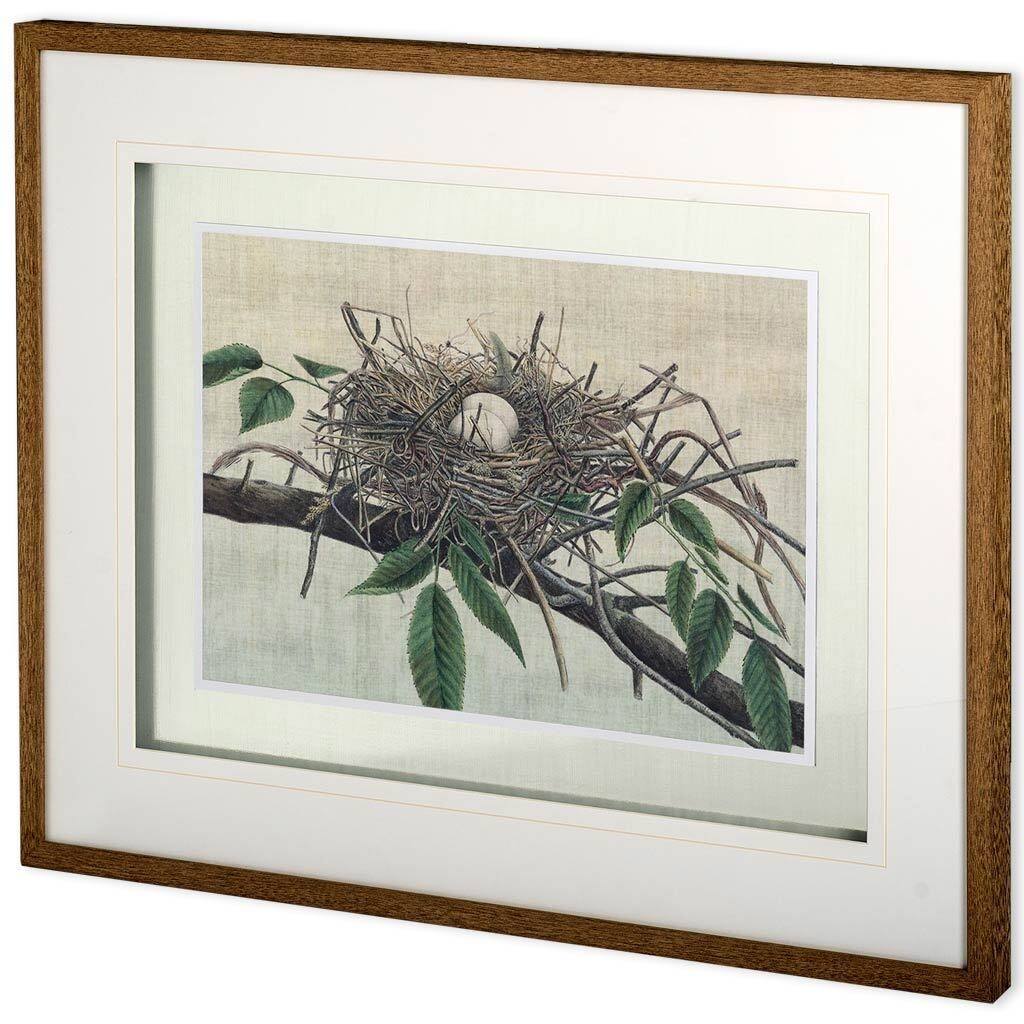 Custom Nesting III (MC) Framed Art Print