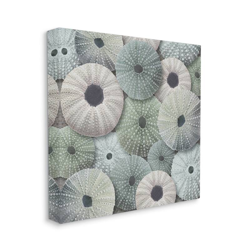 Stupell Abstract Sea Urchins Canvas Wall Art Design by LSR Design Studio