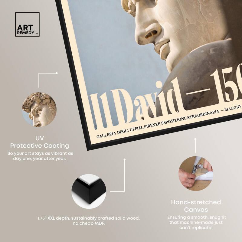 David in Marble Canvas by Art Remedy
