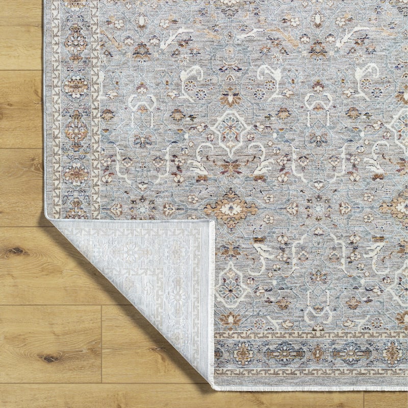 Santino Vintage Oriental Area Rug