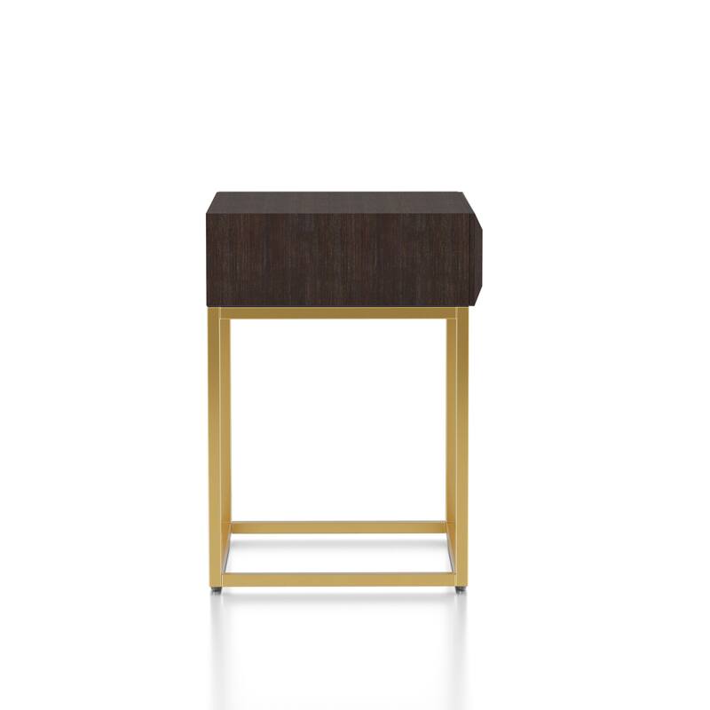 Bird Contemporary Steel 1-Drawer Accent Table by Furniture of America