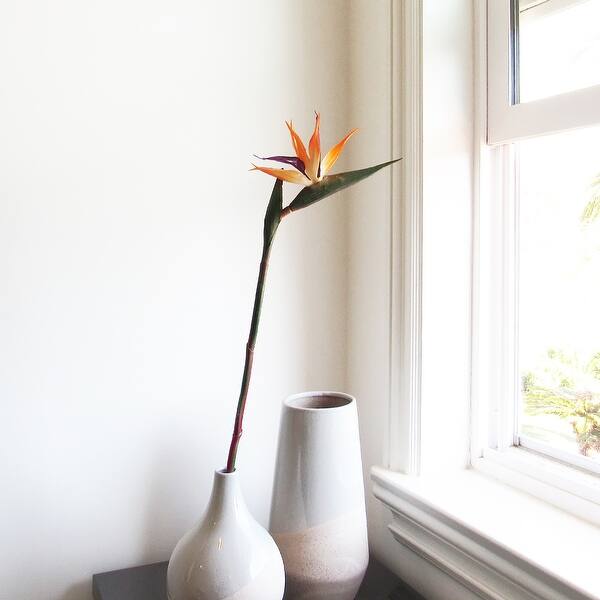 Set of 4 Real Touch Orange Artificial Bird of Paradise Flower Stem Tropical  Spray 24in - 24" L x 5.5" W x 2" DP - Bed Bath & Beyond - 32692049