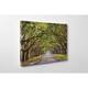 Day Tree Tunnel Canvas Print - Bed Bath & Beyond - 35611124