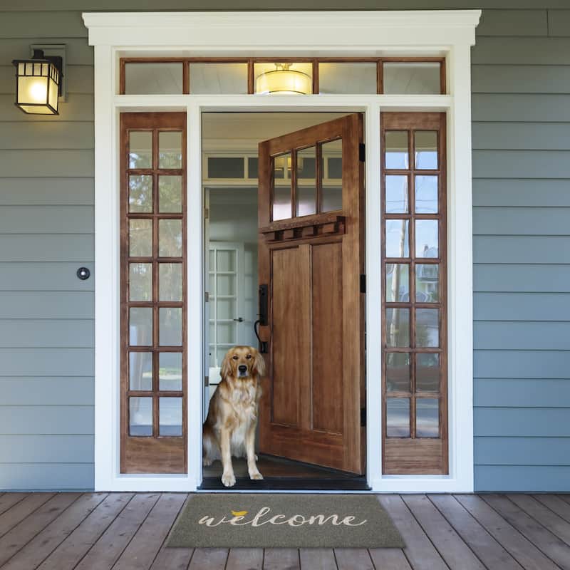 Welcome Bird Doormat 17x29