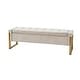 preview thumbnail 2 of 53, Alina Modern Upholstered Flip Top Storage Bench with Metal Legs by HULALA HOME