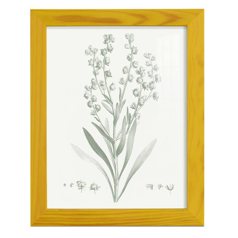 Botanical Study in Sage I -Framed Print w/glass-Cherry Red