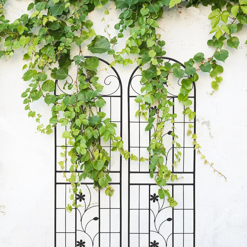 2 Pack Metal Garden Trellis 71in x 19.7in Rustproof Trellis