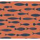 Option Coral Reef
