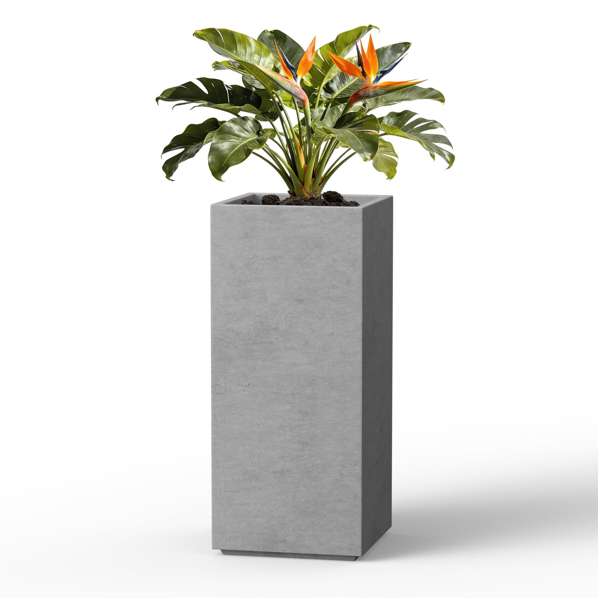 Option Medium Gray