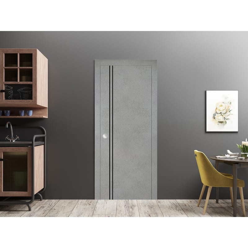 French Pocket Door 28 x 80 with Planum 0016 Concrete with Kit Trims Rail