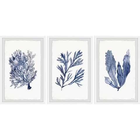 Seaweed Under Water V Triptych