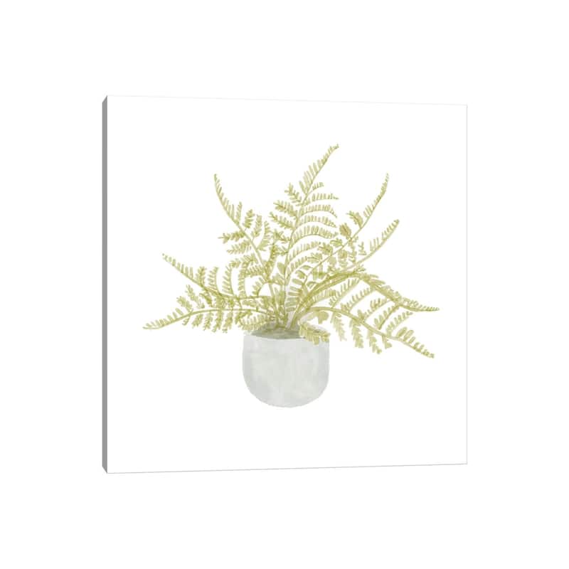 iCanvas "Potted Fern I" by Bannarot Canvas Print