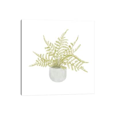 iCanvas "Potted Fern I" by Bannarot Canvas Print