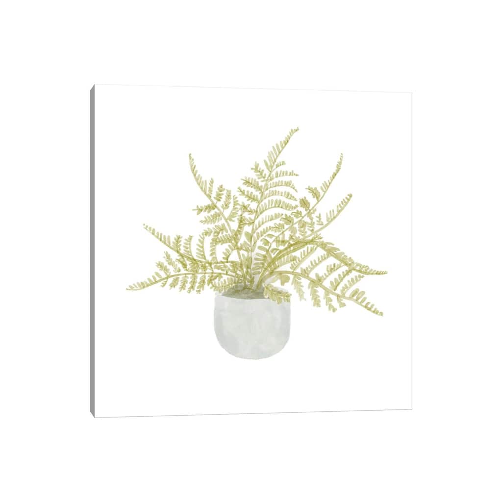 iCanvas "Potted Fern I" by Bannarot Canvas Print