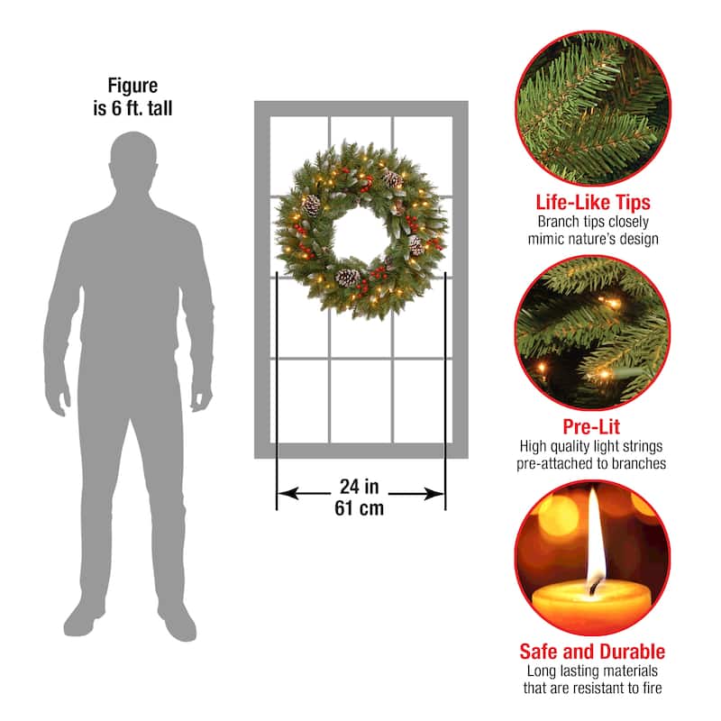 National Tree Company 2 ft. Frosted Berry Wreath with 50 Clear Lights - 2 ft