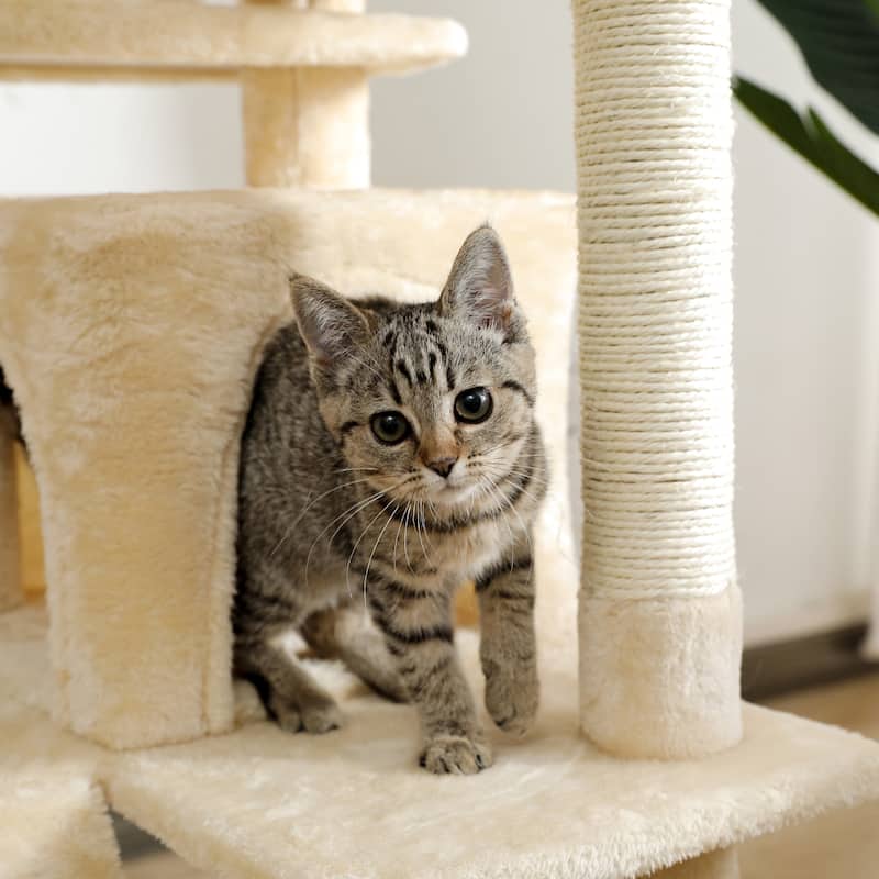 Cat Tree with Large Top Perch, Plush Hammock, 2 Condos, Dangling Pompom & Cat Scratching Posts
