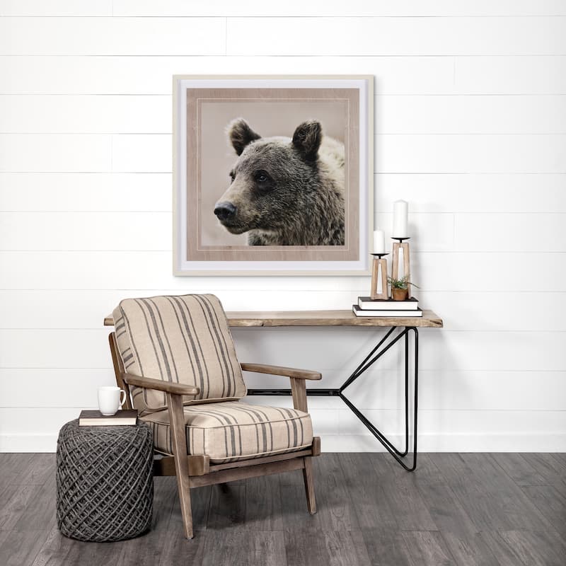 Bear Focus - Hush Framed Art Print