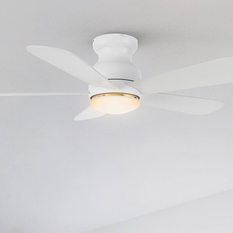 CARRO Quest 48" 5-Blade Smart Ceiling Fan with Light and Remote