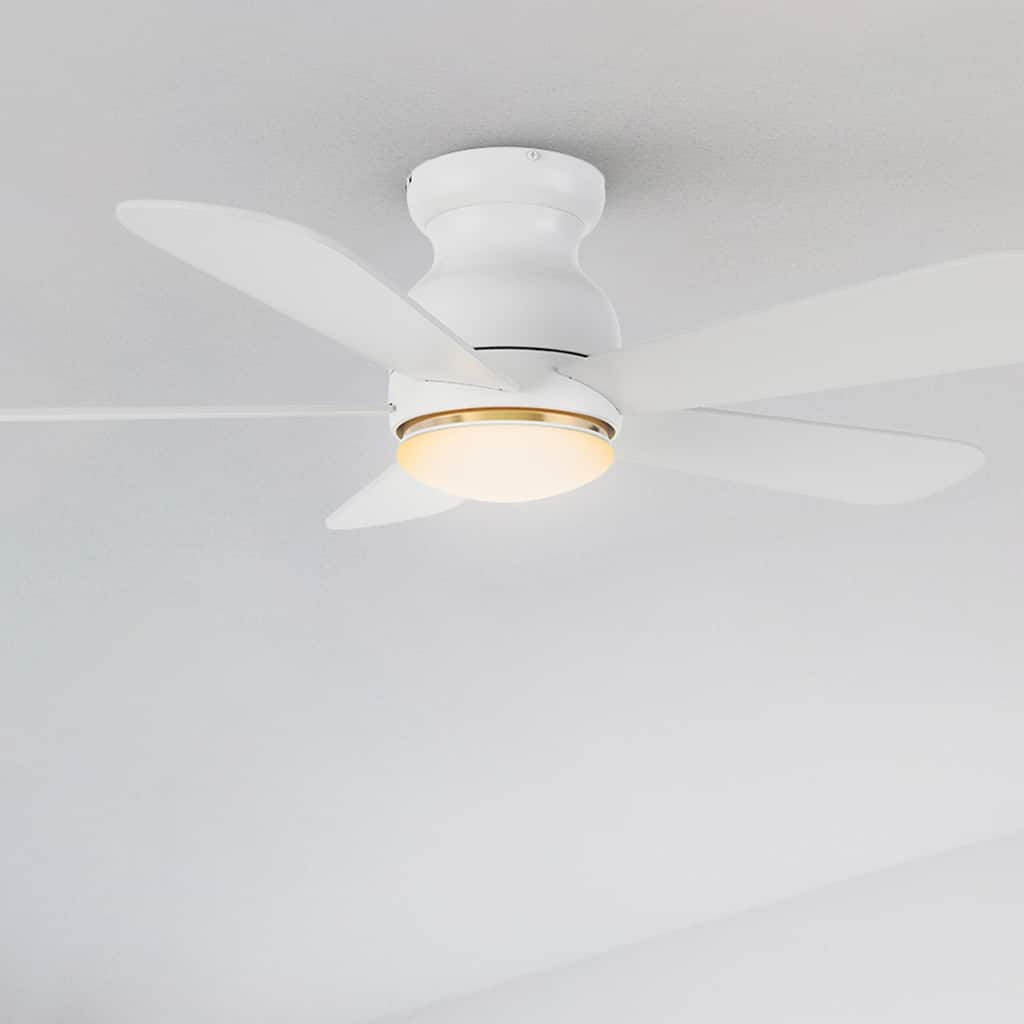 CARRO Quest 48" 5-Blade Smart Ceiling Fan with Light and Remote