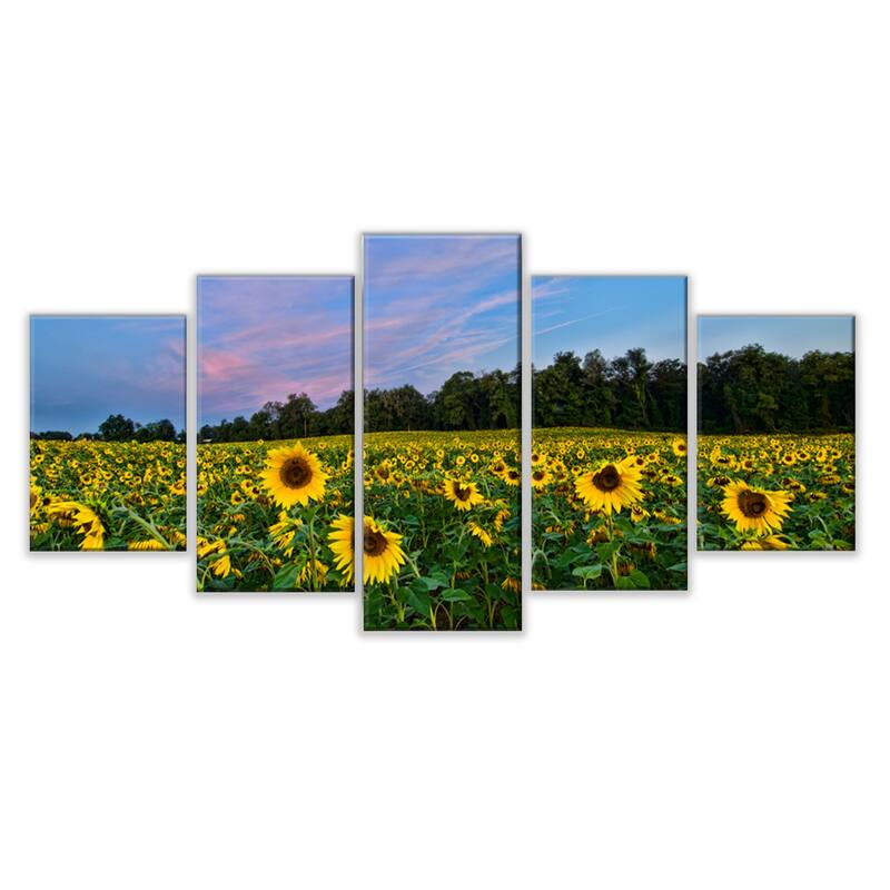 Ready2HangArt 'Sunflower Haven' 5-Piece Wrapped Canvas Wall Art Set