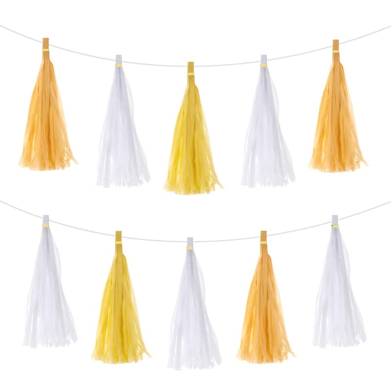 15Pcs Tassel Garland Banner with Rope