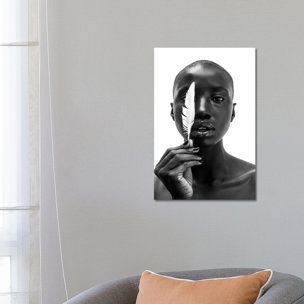 iCanvas "White Feather" by Gregory Prescott Canvas Print