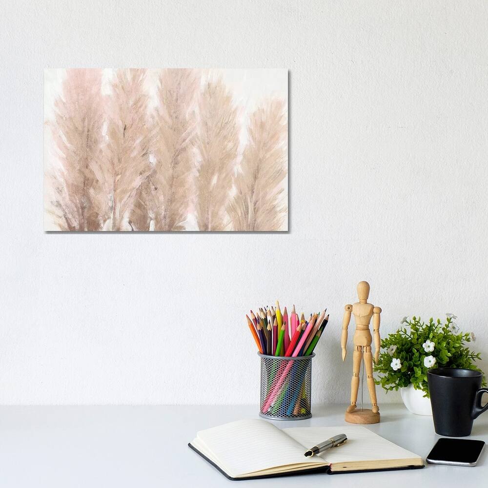 iCanvas "Pampas Grass I" by Tim OToole Canvas Print