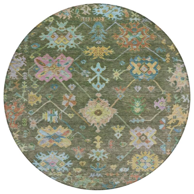 Machine Washable Indoor/ Outdoor Boho Traditional Chantille Rug